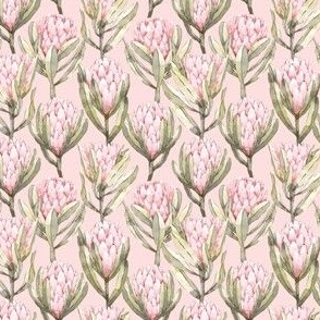 Protea Garden - Pink Small Scale