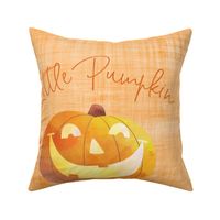 18x18 cushion cover pumpkin