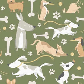 Pet Dogs, Frenchie, Dachshund, Bull Terrier, Great Dane-Green