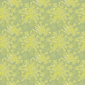 Agapanthus Shades of yellow-greens