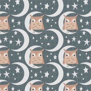 Moons with Owls