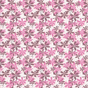 Ditsy Daisies Soft Pink, brown and white