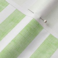 Medium Scale Pale Green Texture Stripes on White