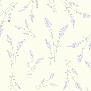 Lavender fields-Cream