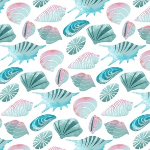 Sea Shells I on White | Underwater World Collection