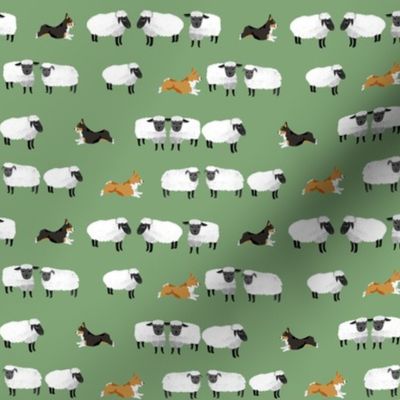 corgis herding sheep fabric - farming fabric, corgi fabric -green