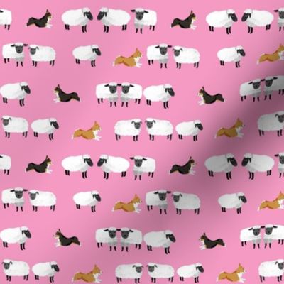 corgis herding sheep fabric - farming fabric, corgi fabric -pink