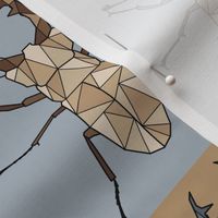 laticauda_lovely patterns_lovely bugs