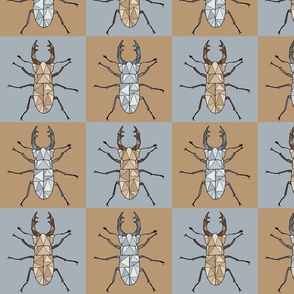laticauda_lovely patterns_lovely bugs
