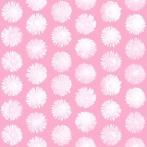 just pink pompon flowers