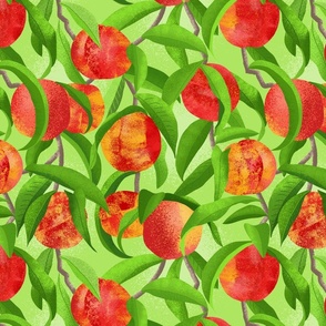 Fruit Trees - Nectarines - Green 