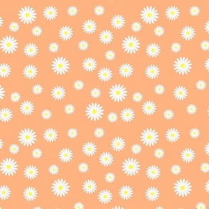 daisy traditional variation on peach