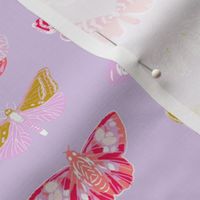 Moths // butterflies moths lepidoptery insects wings print