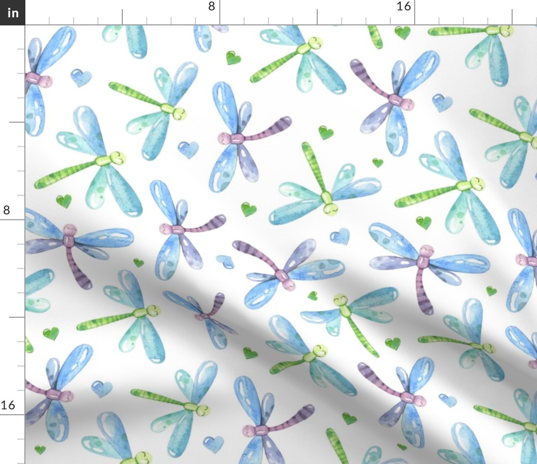 Large Scale Dragonflies Sweet Frog Coordinate on White
