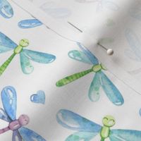 Medium Scale Dragonflies Sweet Frog Coordinate on White