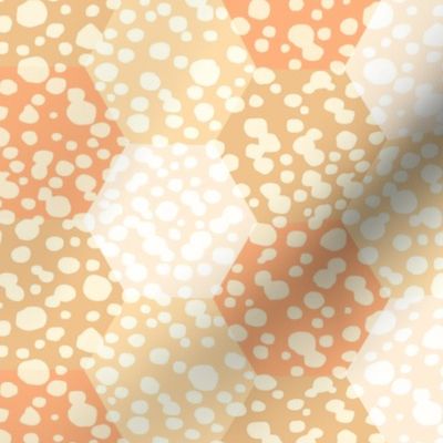 Apricot-Honeycomb Hexagons-L