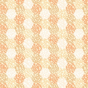 Apricot-Honeycomb Hexagons-M
