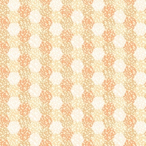 Apricot-Honeycomb Hexagons-S