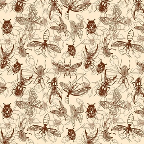vintage insects