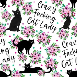 Large Scale Crazy Fucking Cat Lady Funny Sarcastic Adult Sweary Humor