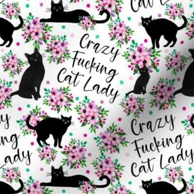 Medium Scale Crazy Fucking Cat Lady Funny Sarcastic Adult Sweary Humor