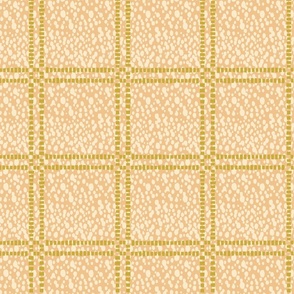 Apricot-Abstract Windowpane-L