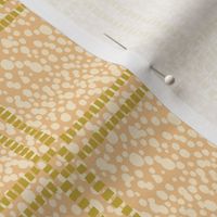 Apricot-Abstract Windowpane-S