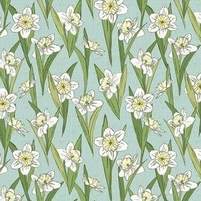 Daffodil Garden - Small Scale 