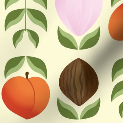 Blooms, seeds, peaches & leaves - Peaches' cycle of life