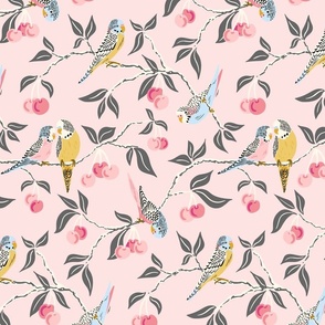 pastel budgies in the cherry tree/soft pink