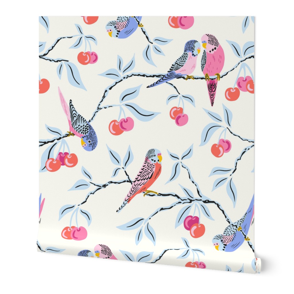bright budgies in the cherry tree/white background
