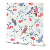 bright budgies in the cherry tree/white background