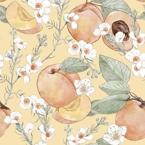 Apricots on yellow background