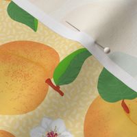 Apricot Blossom // Orange