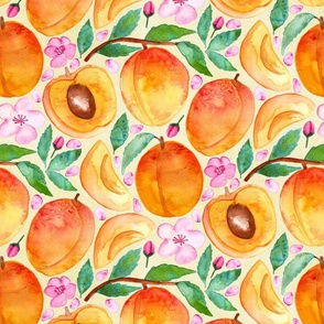 Apricot Abundance