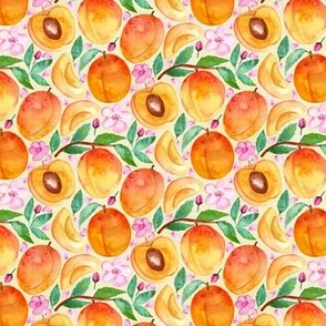 Apricot Abundance - Tiny Scale