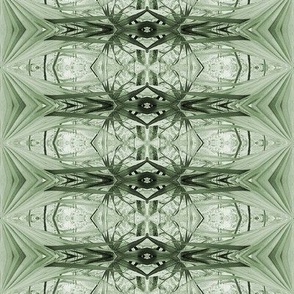 Fan palm coordinate pattern 1/muted green