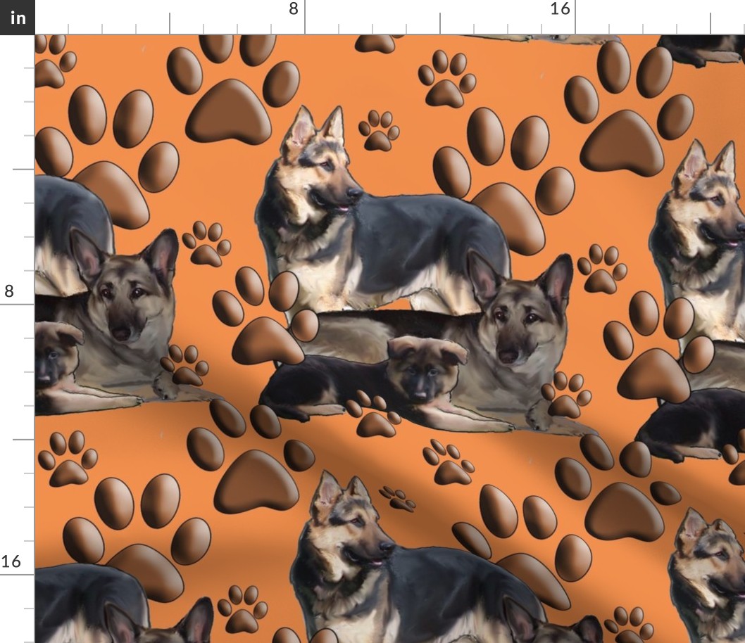 german shepherds on a coral backround