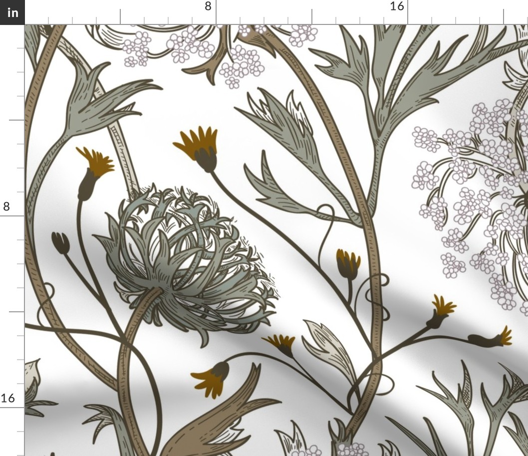 Queen Anne's Lace white background