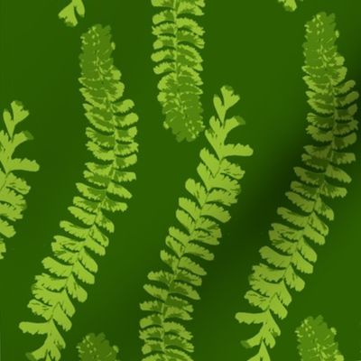 Ferns on Green - S