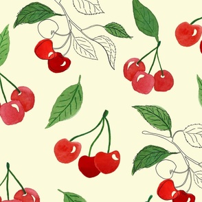 Cherries botanic study