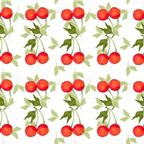 Rows of cherries 