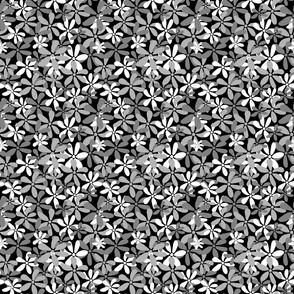 Ditsy Daisies black, white and grey