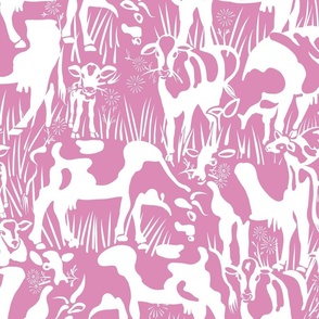 Meadow Cows | Cool Pink