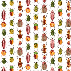 Watercolor Retro bugs small