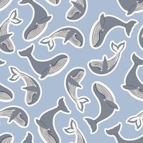 cute whales light blue contour by DEINKI (medium scale)