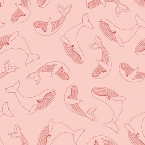 cute whales lines pink by DEINKI (medium scale)