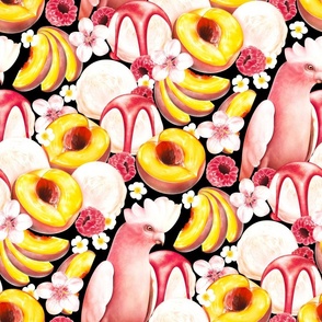Pretty Peach Melba and Pink Galah Parrot on black 