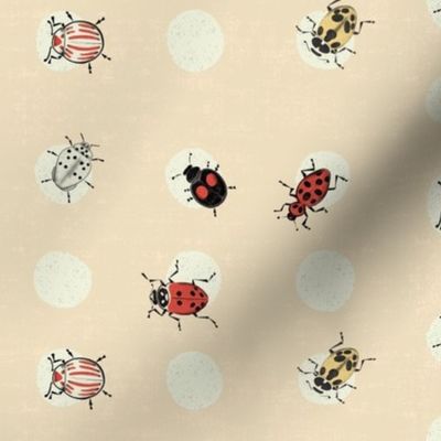 Ladybugs - small