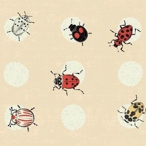 Ladybugs - small